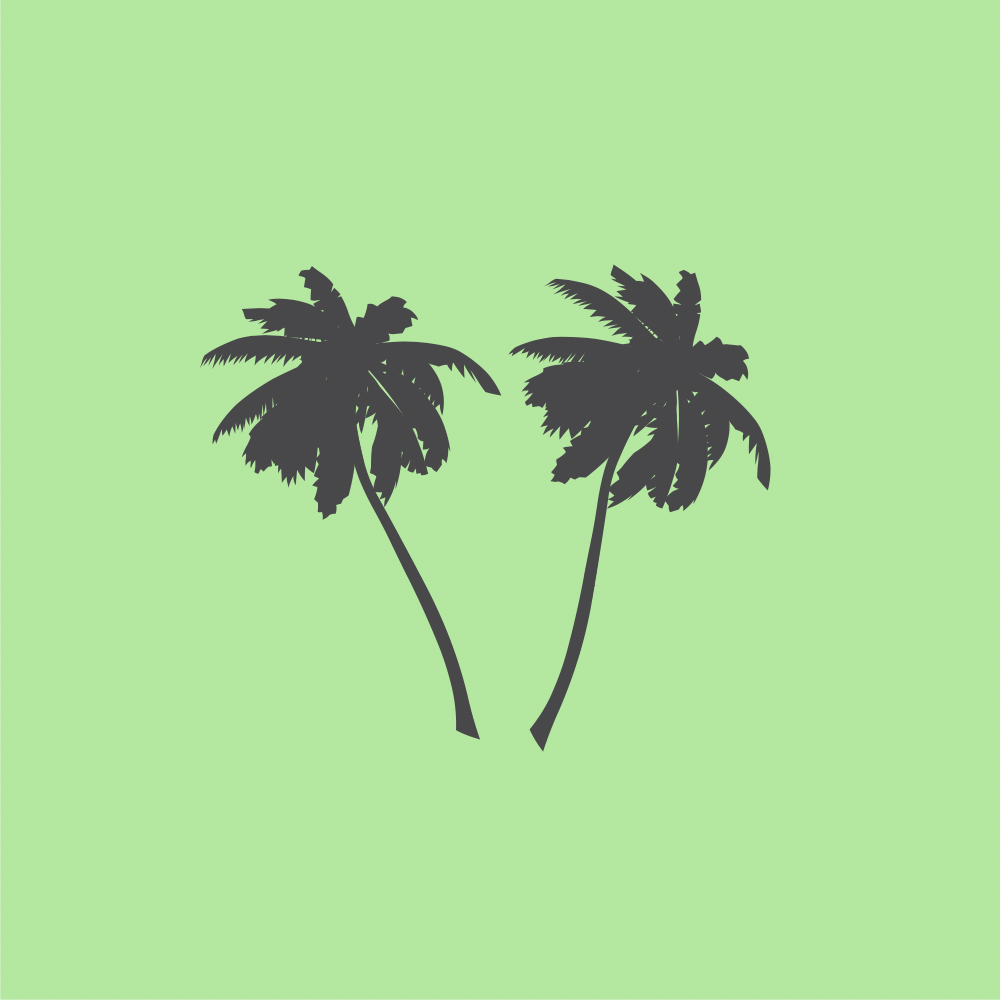 más palmas palm icon